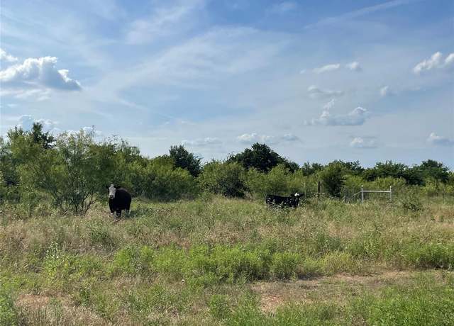 Property at TBD Fm-1658, Bridgeport, TX 76426