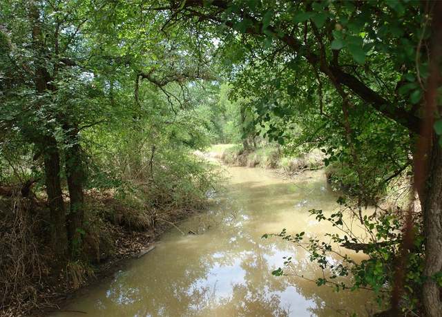 Property at 81 CR 536, Mullin, TX 76864