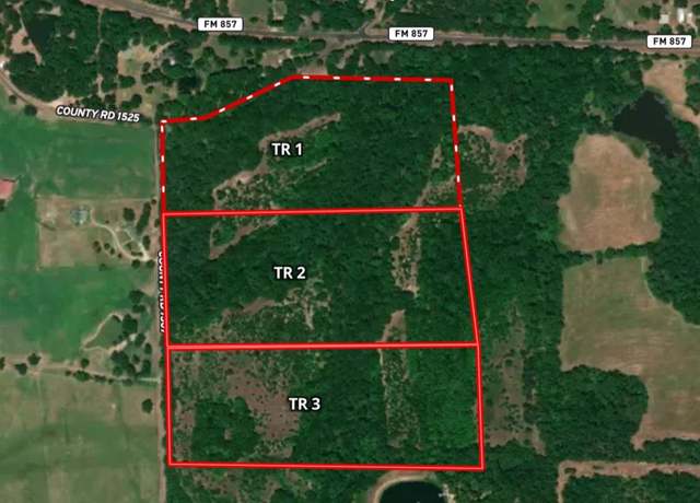 Property at Tract 1 TBD Vzcr 1507, Grand Saline, TX 75140