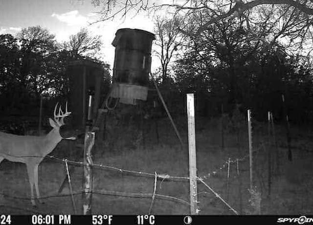Property at TBD Hcr-2115, Whitney, TX 76692