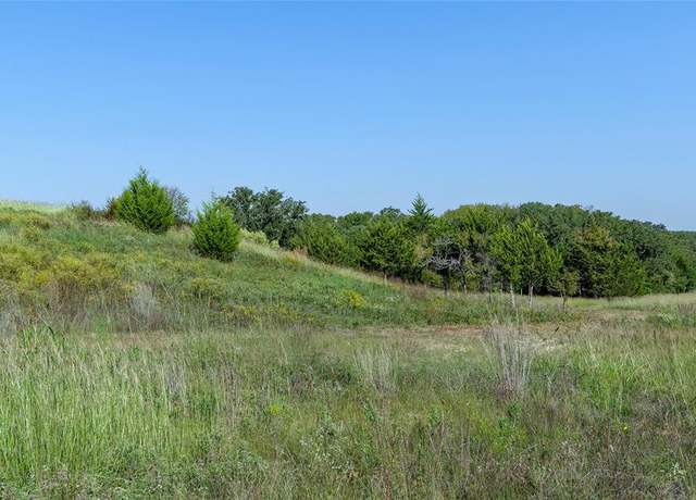 Property at 110 Pringle Ct, Alvord, TX 76225
