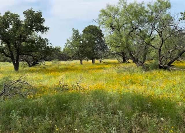 Property at TBD Jayden Ln Lot 1B, Loving, TX 76450