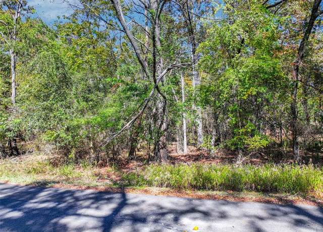 Property at Lot 7 King Sebastion Rd, Scroggins, TX 75480