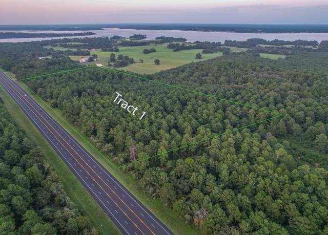 Property at Tract 1 Hwy 155, Frankston, TX 75763
