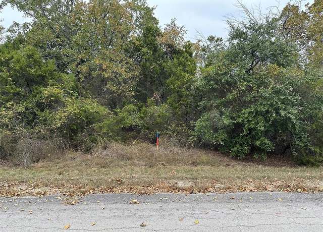 Property at 18017 Southhill Dr, Whitney, TX 76692