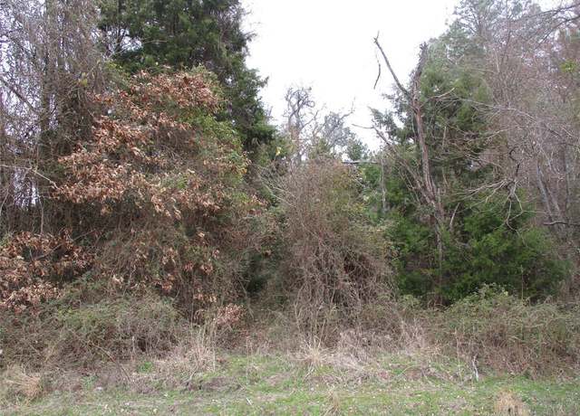 Property at TBD Rains County Road 3040, Emory, TX 75440