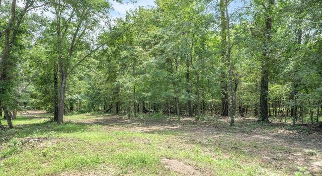 Photo of TBD (16 Acres) VZ County Road 1804, Grand Saline, TX 75140