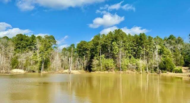 Photo of 5681 AN County Road 153, Elkhart, TX 75801
