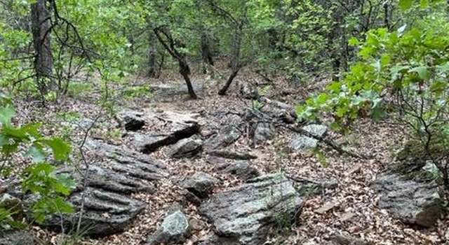Photo of TBD Pigg Rd, Bowie, TX 76431
