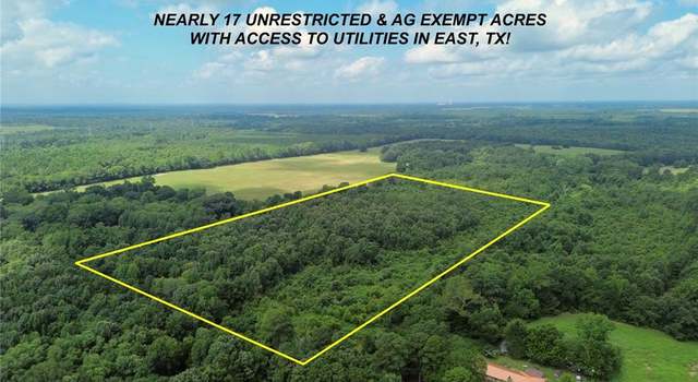 Photo of 0 County Road 3203, Daingerfield, TX 75638