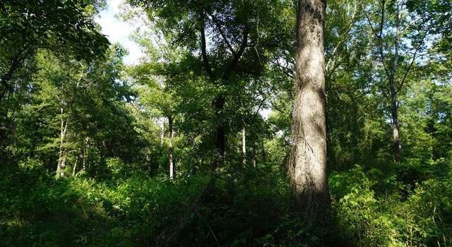 Photo of 01 An County Road 494, Cayuga, TX 75832