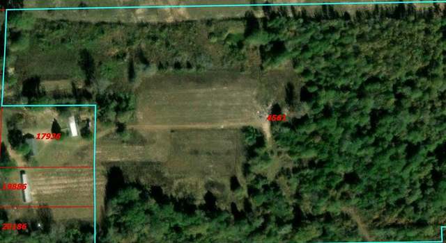 Photo of TBD County Road 3418, Leesburg, TX 75451