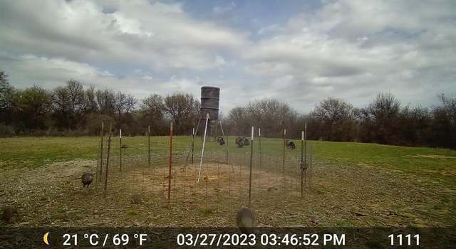 Photo of 11653 FM 1226 Parcel B, Hawley, TX 79525