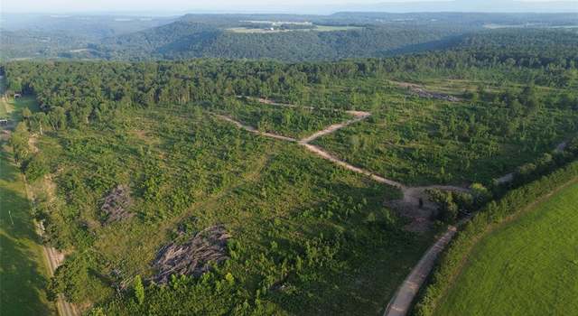 Photo of 40 Acres Ross Mountain Rd, AR 72846