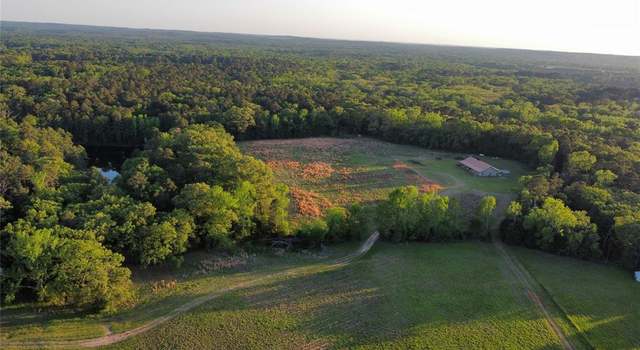Photo of 437 County Road 3190, Winnsboro, TX 75494