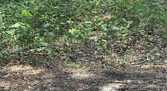 Photo of 0 Ranchland Dr, Grand Cane, LA 71032