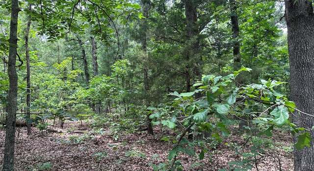 Photo of TBD County Road 2131, Detroit, TX 75436
