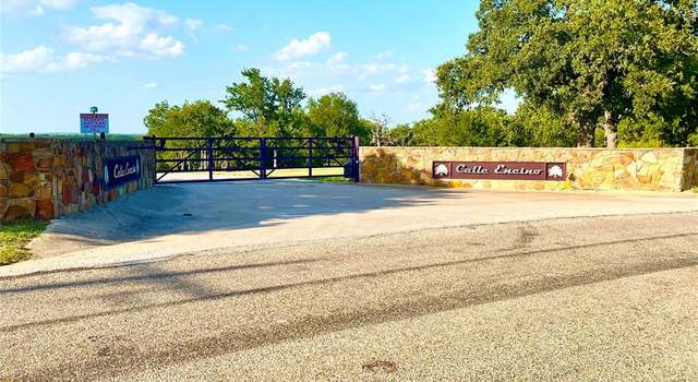 Photo of 117 Calle Encino Ln, Millsap, TX 76066