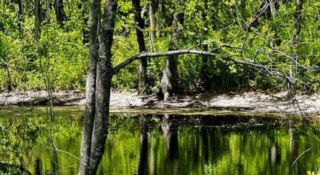 Photo of 000 Cr-1204, Blue Ridge, TX 75424