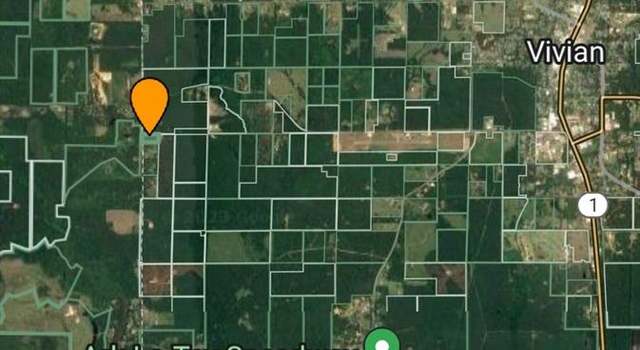Photo of 0 Cass County, Vivian, LA 71082