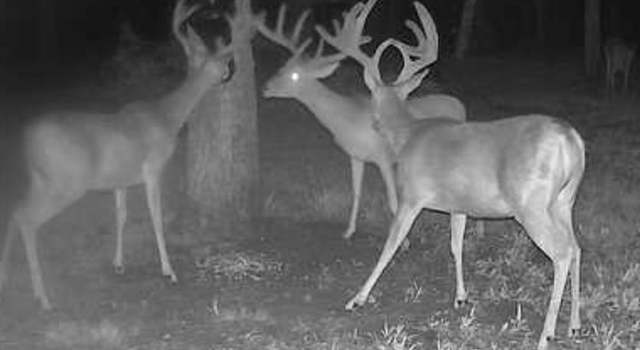 Photo of TBD FM 2068, Commerce, TX 75428