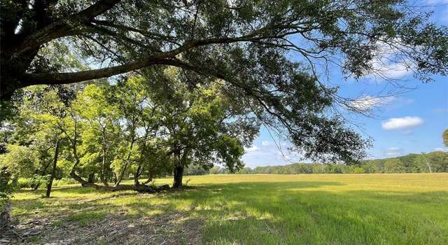 Photo of Lot 5B Rains County Road 2420, Alba, TX 75410