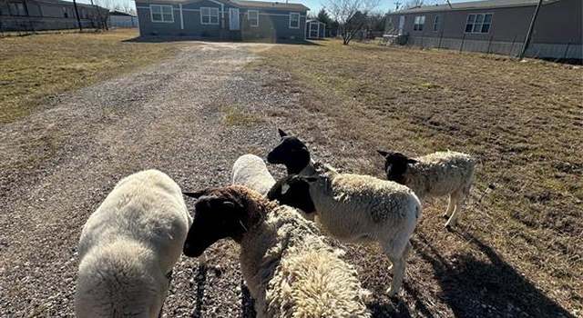 Photo of 1581 County Road 2120, Powell, TX 75153