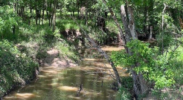 Photo of 1590 Fm 2324, Emory, TX 75440