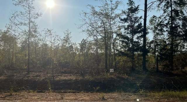 Photo of 2 Lake Rd, Plain Dealing, LA 71064