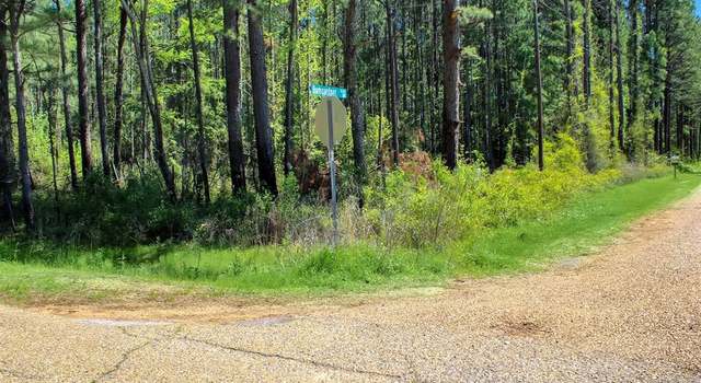 Photo of 0 Highway 153, Ashland, LA 71002