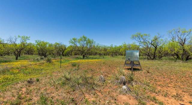 Photo of TBD County Road 121, Sweetwater, TX 79556