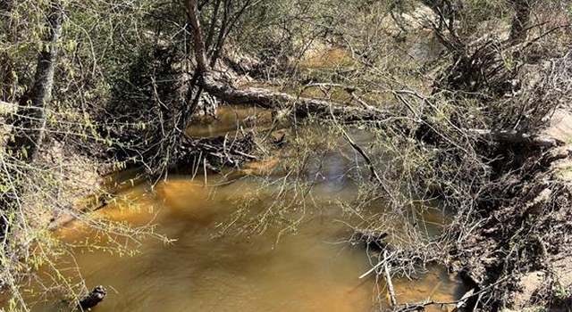 Photo of 0 ACR 489 An County Road 489, Montalba, TX 75853