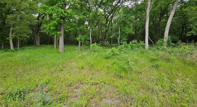 Photo of Lot 221 Banjo Ct, Alvord, TX 76225
