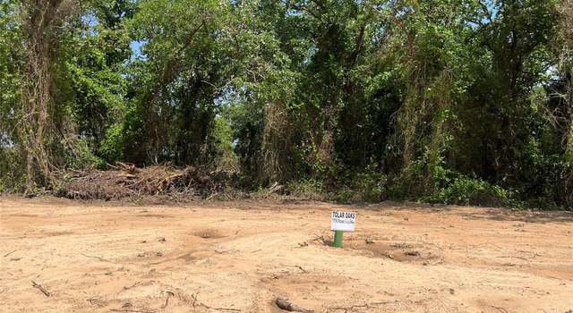Photo of 490 Peace Lily Way, Tolar, TX 76476