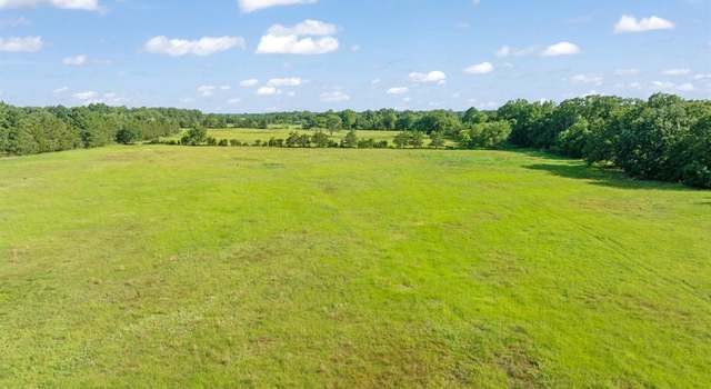 Photo of 259 County Road 44880, Blossom, TX 75416
