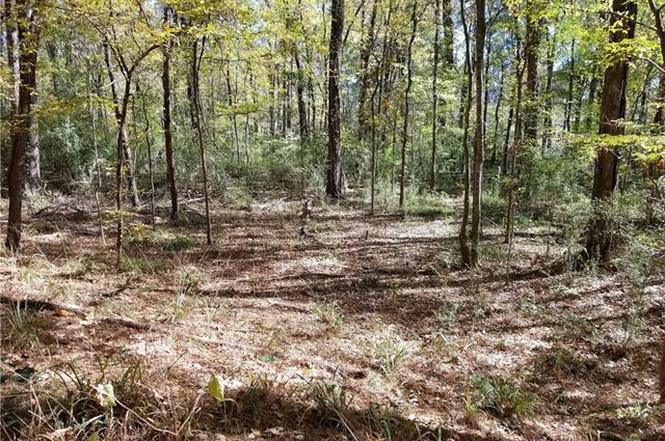 hillsborough homes for sale