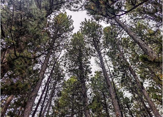 Property at 3190 Zipf Ln, Fort Garland, CO 81133