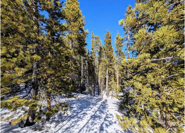 Property at 234 Alice Rd, Idaho Springs, CO 80453