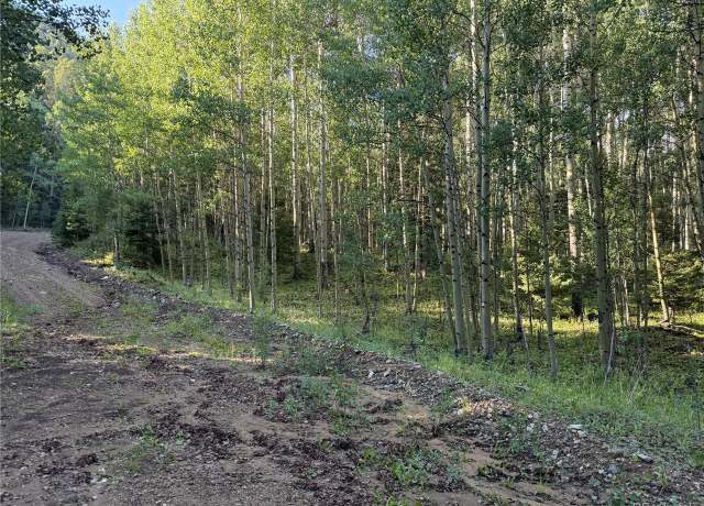 Property at 5331 Hull Rd, Fort Garland, CO 81133