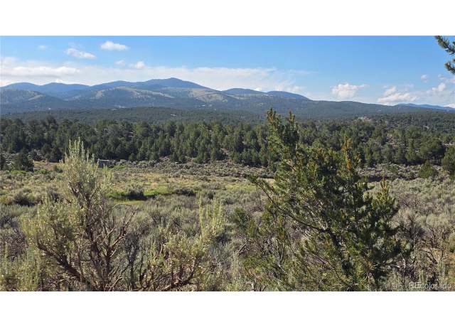 Property at 4296 Renfield Rd, Fort Garland, CO 81133