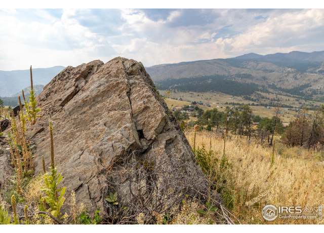 Property at 981 Palisade Mountain Dr, Drake, CO 80515