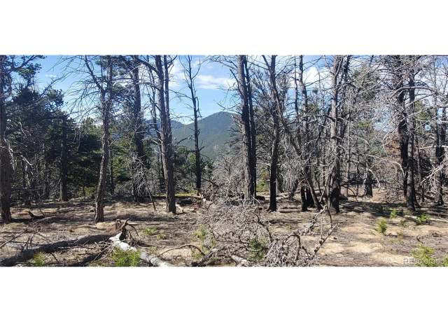 Property at Undisclosed address, Fort Garland, CO 81133
