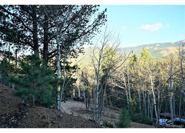 Property at 272 Wise Rd, Bailey, CO 80421
