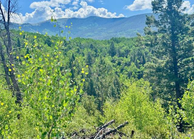 Property at 5850 Richardson Rd, Fort Garland, CO 81152