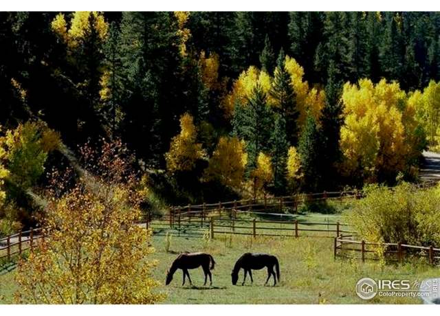 Property at 7127 Highway 72, Nederland, CO 80466, 3 beds, 3 baths