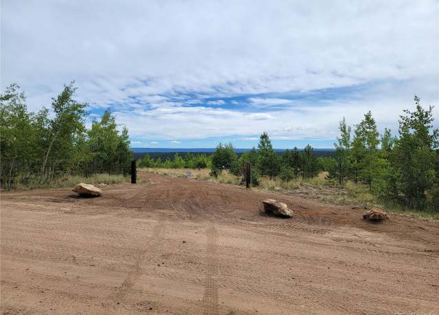 Property at 3 County Road 51, Florissant, CO 80816