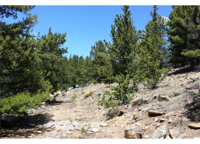 Property at 10 Lamartine Rd, Idaho Springs, CO 80452