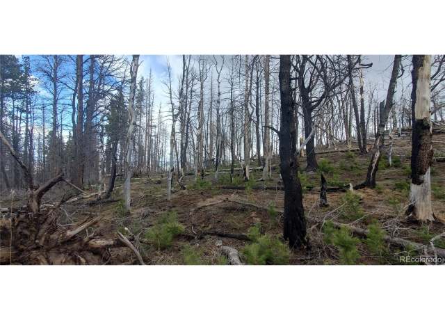 Property at Undisclosed address, Fort Garland, CO 81133