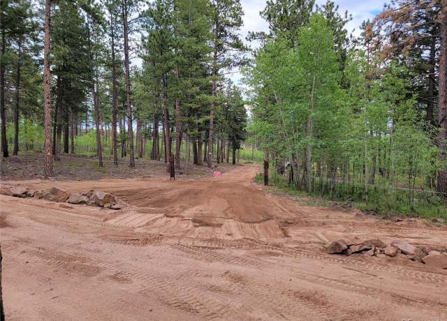 Property at 4 County Road 51, Florissant, CO 80816