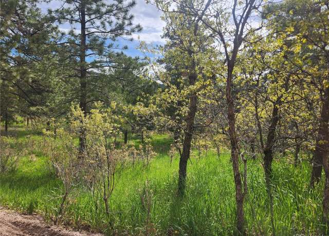 Property at Undisclosed address, Palmer Lake, CO 80133